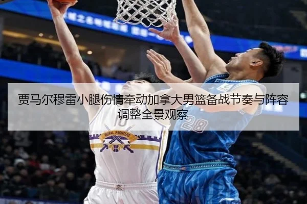 贾马尔穆雷小腿伤情牵动加拿大男篮备战节奏与阵容调整全景观察
